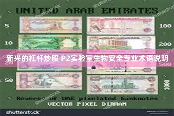 新兴的杠杆炒股 P2实验室生物安全专业术语说明