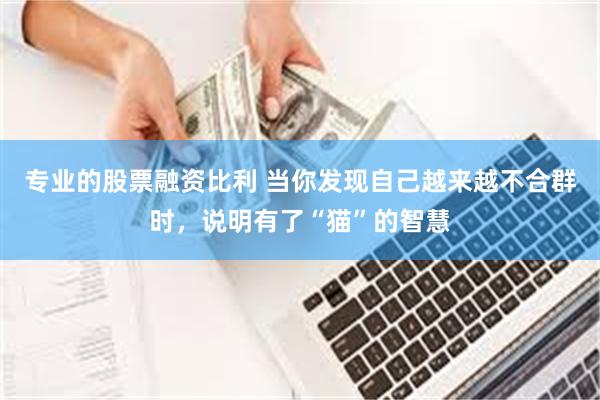 专业的股票融资比利 当你发现自己越来越不合群时，说明有了“猫”的智慧