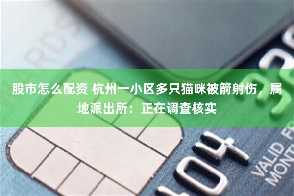 股市怎么配资 杭州一小区多只猫咪被箭射伤，属地派出所：正在调查核实