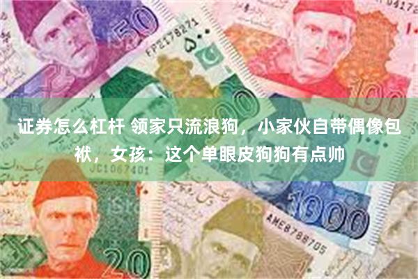 证券怎么杠杆 领家只流浪狗，小家伙自带偶像包袱，女孩：这个单眼皮狗狗有点帅