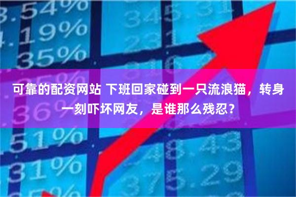 可靠的配资网站 下班回家碰到一只流浪猫，转身一刻吓坏网友，是谁那么残忍？