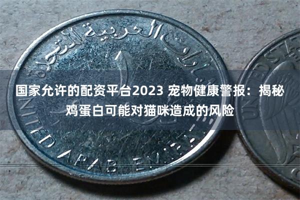 国家允许的配资平台2023 宠物健康警报：揭秘鸡蛋白可能对猫咪造成的风险