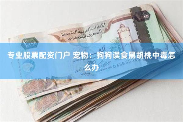 专业股票配资门户 宠物：狗狗误食黑胡桃中毒怎么办