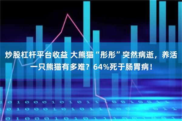 炒股杠杆平台收益 大熊猫“彤彤”突然病逝，养活一只熊猫有多难？64%死于肠胃病！