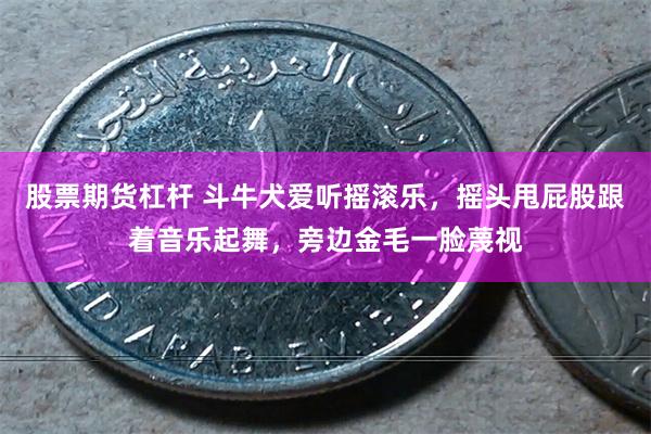 股票期货杠杆 斗牛犬爱听摇滚乐，摇头甩屁股跟着音乐起舞，旁边金毛一脸蔑视