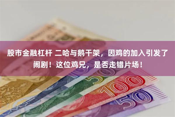 股市金融杠杆 二哈与鹅干架，因鸡的加入引发了闹剧！这位鸡兄，是否走错片场！