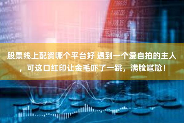 股票线上配资哪个平台好 遇到一个爱自拍的主人,可这口红印让金毛吓了一跳,满脸尴尬!