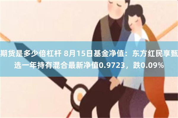 期货是多少倍杠杆 8月15日基金净值：东方红民享甄选一年持有混合最新净值0.9723，跌0.09%