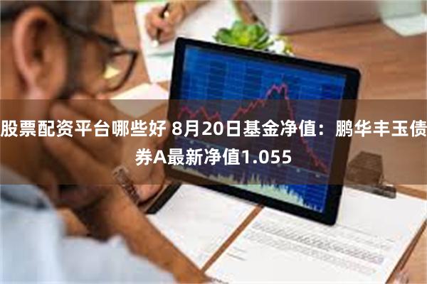股票配资平台哪些好 8月20日基金净值：鹏华丰玉债券A最新净值1.055