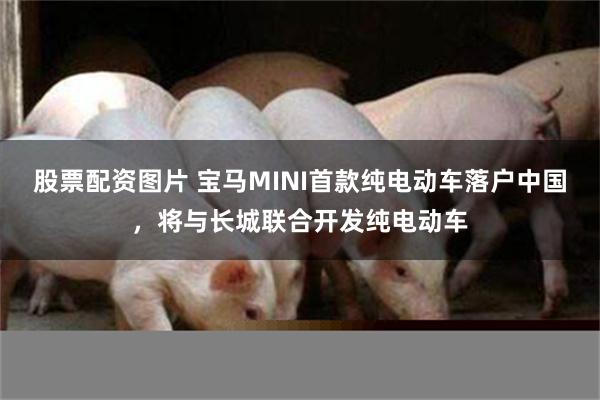 股票配资图片 宝马MINI首款纯电动车落户中国，将与长城联合开发纯电动车