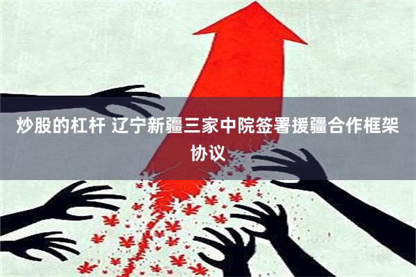 炒股的杠杆 辽宁新疆三家中院签署援疆合作框架协议