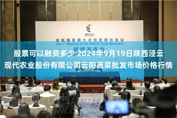 股票可以融资多少 2024年9月19日陕西泾云现代农业股份有限公司云阳蔬菜批发市场价格行情