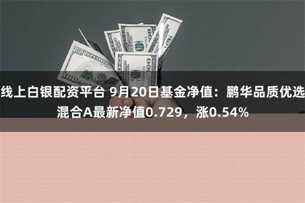 线上白银配资平台 9月20日基金净值：鹏华品质优选混合A最新净值0.729，涨0.54%