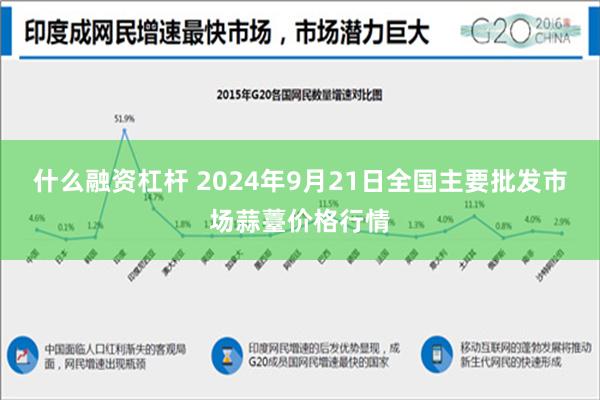 什么融资杠杆 2024年9月21日全国主要批发市场蒜薹价格行情