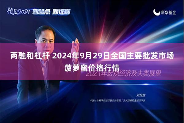 两融和杠杆 2024年9月29日全国主要批发市场菠萝蜜价格行情