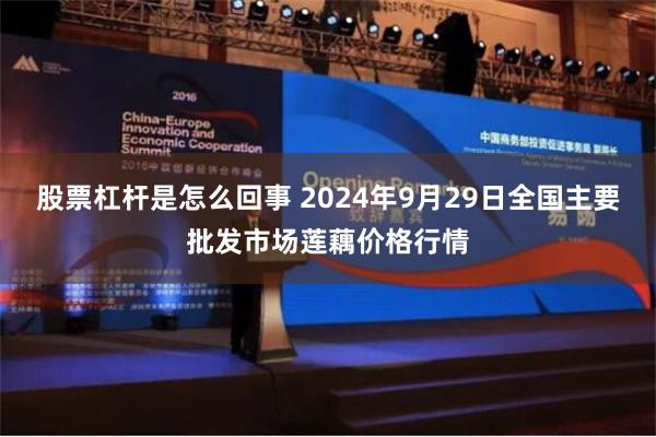 股票杠杆是怎么回事 2024年9月29日全国主要批发市场莲藕价格行情