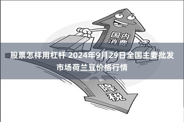 股票怎样用杠杆 2024年9月29日全国主要批发市场荷兰豆价格行情