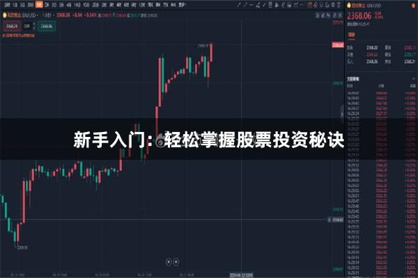 新手入门：轻松掌握股票投资秘诀