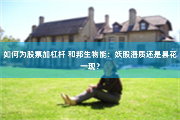 如何为股票加杠杆 和邦生物能：妖股潜质还是昙花一现？