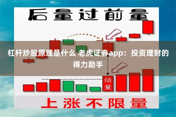 杠杆炒股原理是什么 老虎证券app：投资理财的得力助手
