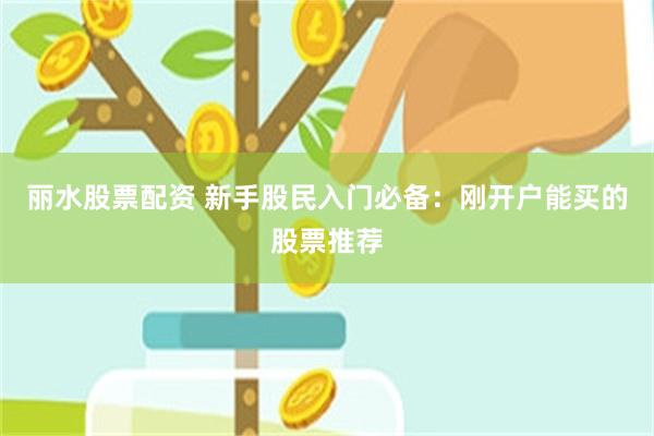 丽水股票配资 新手股民入门必备：刚开户能买的股票推荐
