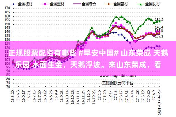 正规股票配资有哪些 #早安中国# 山东荣成 天鹅乐园 水面生金，天鹅浮波。来山东荣成，看