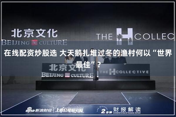 在线配资炒股选 大天鹅扎堆过冬的渔村何以“世界最佳”？
