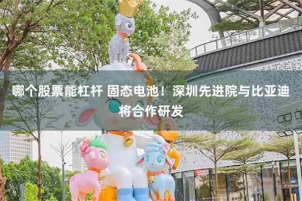 哪个股票能杠杆 固态电池！深圳先进院与比亚迪将合作研发