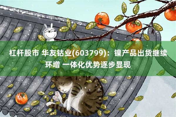 杠杆股市 华友钴业(603799)：镍产品出货继续环增 一体化优势逐步显现