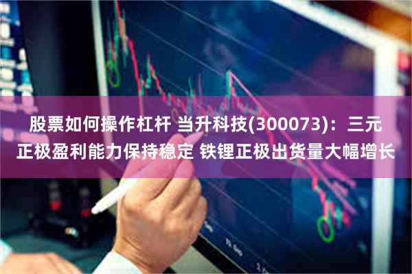 股票如何操作杠杆 当升科技(300073)：三元正极盈利能力保持稳定 铁锂正极出货量大幅增长