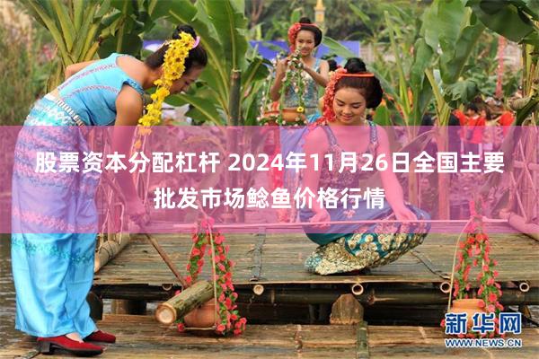 股票资本分配杠杆 2024年11月26日全国主要批发市场鲶鱼价格行情