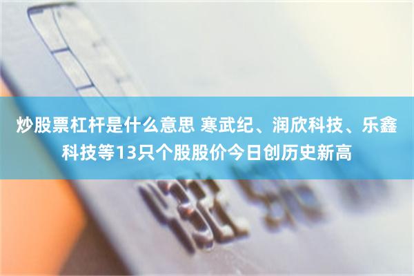 炒股票杠杆是什么意思 寒武纪、润欣科技、乐鑫科技等13只个股股价今日创历史新高