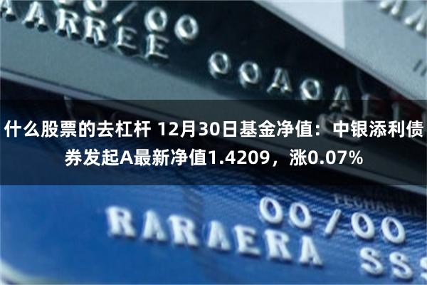 什么股票的去杠杆 12月30日基金净值：中银添利债券发起A最新净值1.4209，涨0.07%
