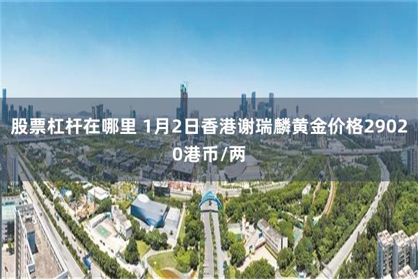 股票杠杆在哪里 1月2日香港谢瑞麟黄金价格29020港币/两
