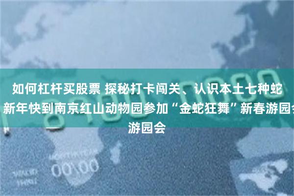 如何杠杆买股票 探秘打卡闯关、认识本土七种蛇！新年快到南京红山动物园参加“金蛇狂舞”新春游园会