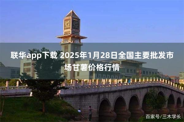 联华app下载 2025年1月28日全国主要批发市场甘薯价格行情