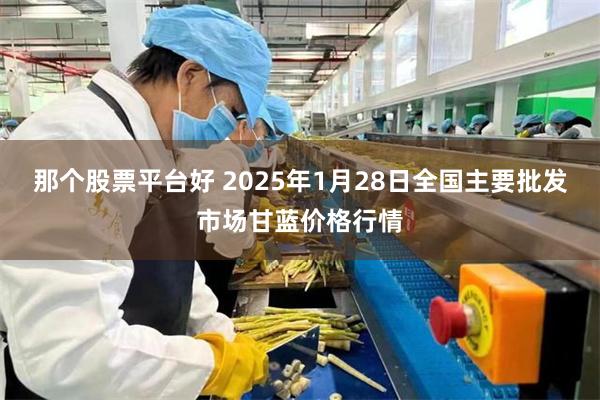 那个股票平台好 2025年1月28日全国主要批发市场甘蓝价格行情