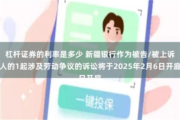 杠杆证券的利率是多少 新疆银行作为被告/被上诉人的1起涉及劳动争议的诉讼将于2025年2月6日开庭