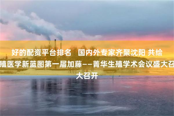 好的配资平台排名   国内外专家齐聚沈阳 共绘生殖医学新蓝图第一届加藤——菁华生殖学术会议盛大召开