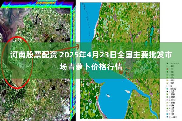 河南股票配资 2025年4月23日全国主要批发市场青萝卜价格行情