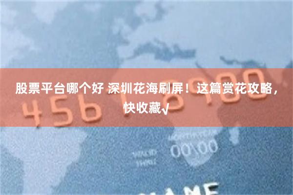 股票平台哪个好 深圳花海刷屏！这篇赏花攻略，快收藏√