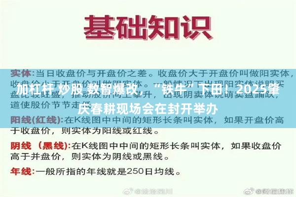 加杠杆 炒股 数智爆改，“铁牛”下田！2025肇庆春耕现场会在封开举办