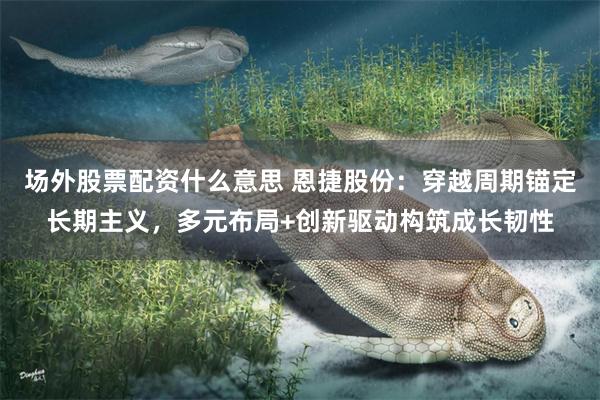 场外股票配资什么意思 恩捷股份：穿越周期锚定长期主义，多元布局+创新驱动构筑成长韧性