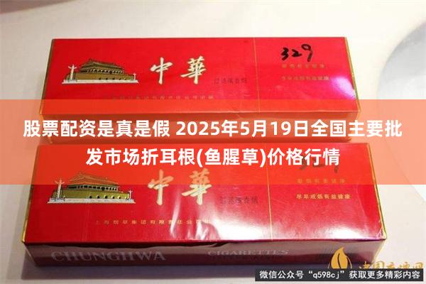股票配资是真是假 2025年5月19日全国主要批发市场折耳根(鱼腥草)价格行情