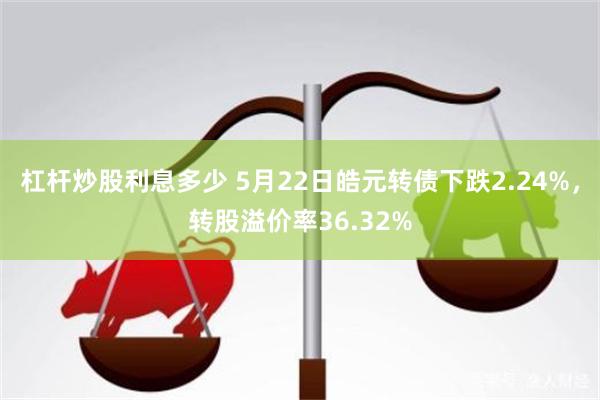杠杆炒股利息多少 5月22日皓元转债下跌2.24%，转股溢价率36.32%