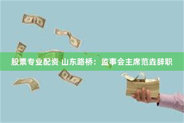 股票专业配资 山东路桥：监事会主席范垚辞职