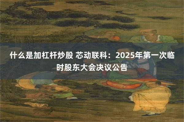 什么是加杠杆炒股 芯动联科：2025年第一次临时股东大会决议公告