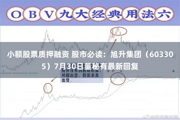 小额股票质押融资 股市必读：旭升集团（603305）7月30日董秘有最新回复