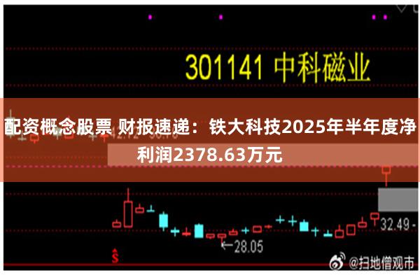 配资概念股票 财报速递：铁大科技2025年半年度净利润2378.63万元