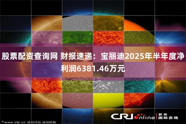 股票配资查询网 财报速递：宝丽迪2025年半年度净利润6381.46万元